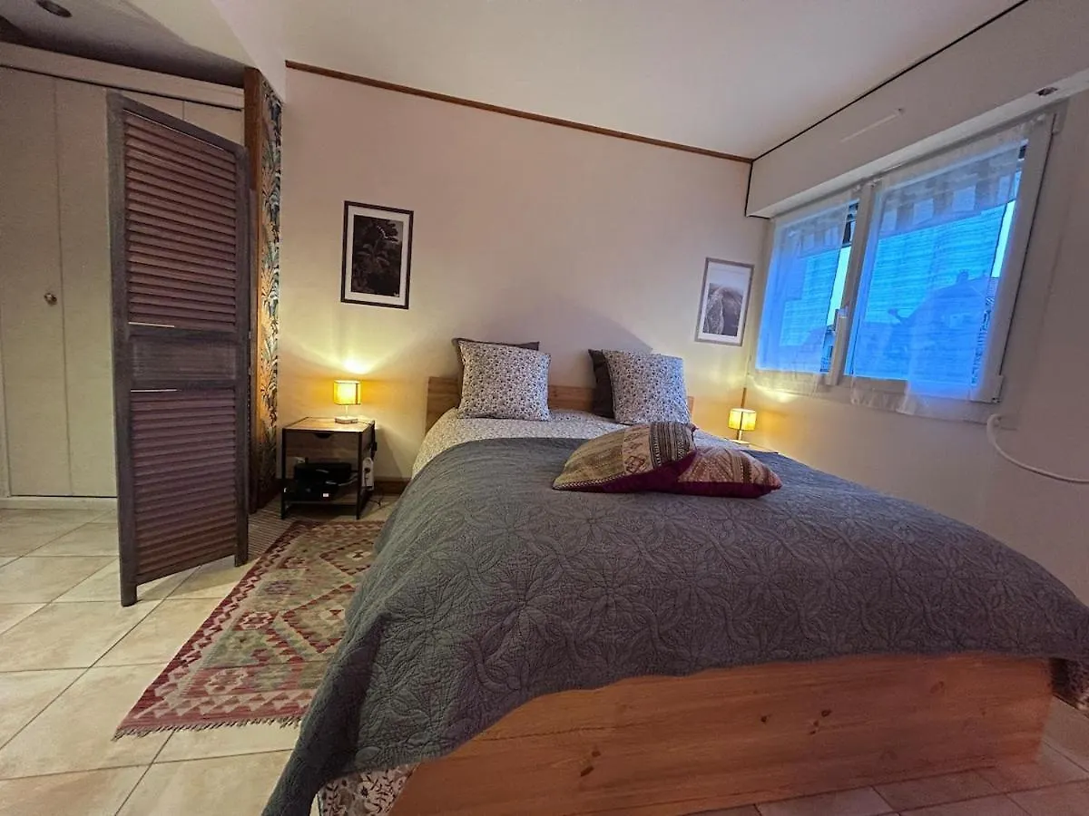 Apartment Studio Chaleureux 30M2, Entre Lac Et Montagnes, Parking Prive Gratuit, Lit Queen-Size Saint-Jorioz France